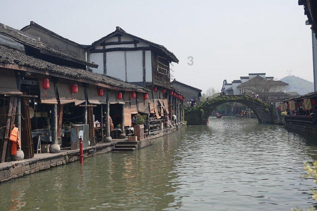 细胞分裂4